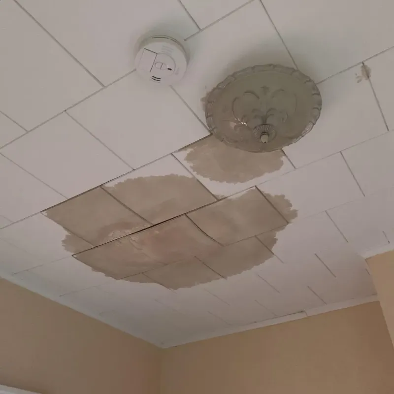 Ceiling Water Damage Repair in Winner, SD