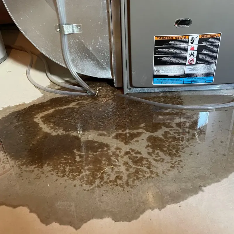 Pipe Burst and Leak Restoration in Winner, SD