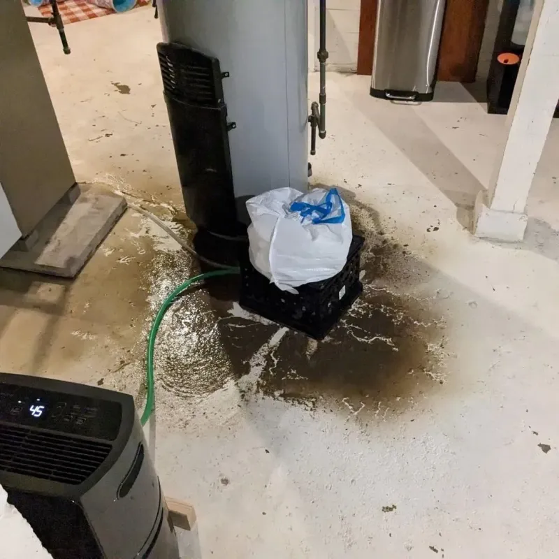 Sewage Backup Cleanup Service in Winner, SD